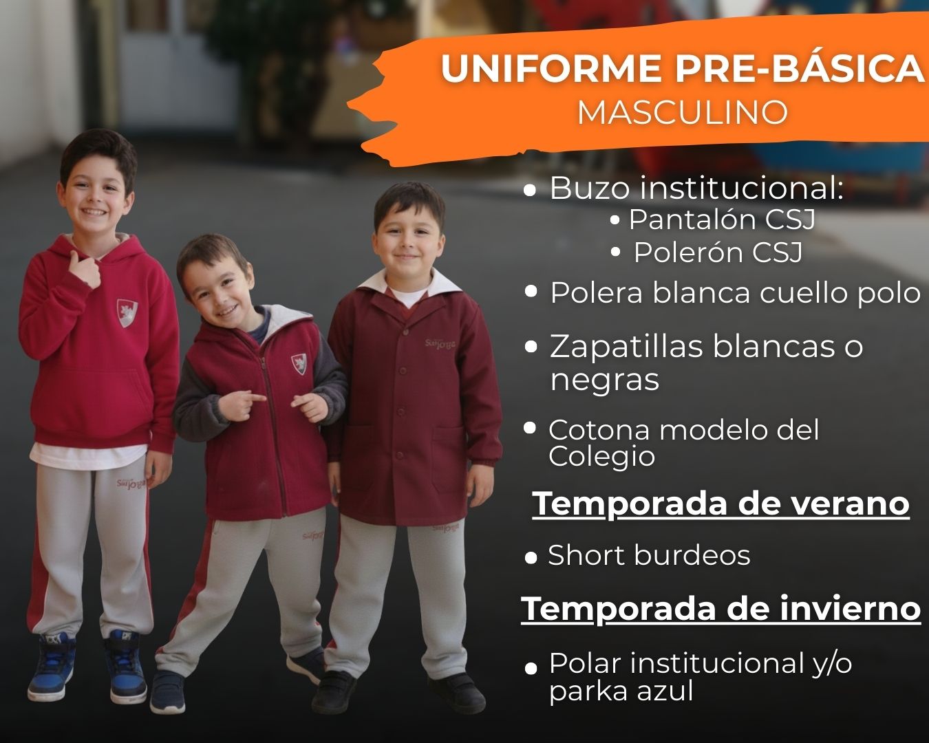 * Cualquier otra prenda que no se ajuste a lo anteriormente exhibido ...